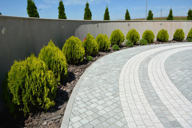 Best Driveway Pavers Near Me  in Keeler Farm, NM
